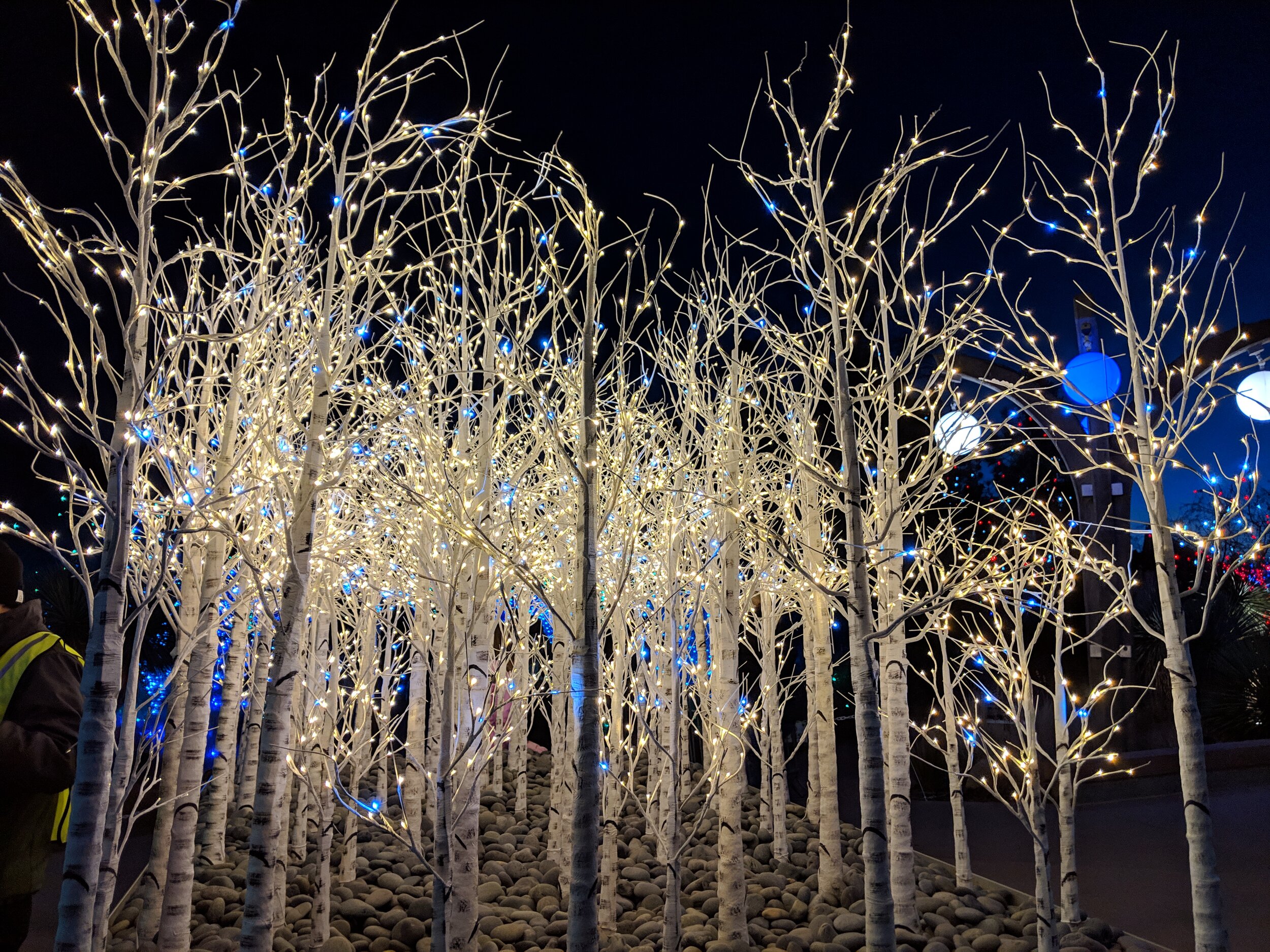 18 Best Things to do in Denver in Winter — Delicious Denver Food Tours