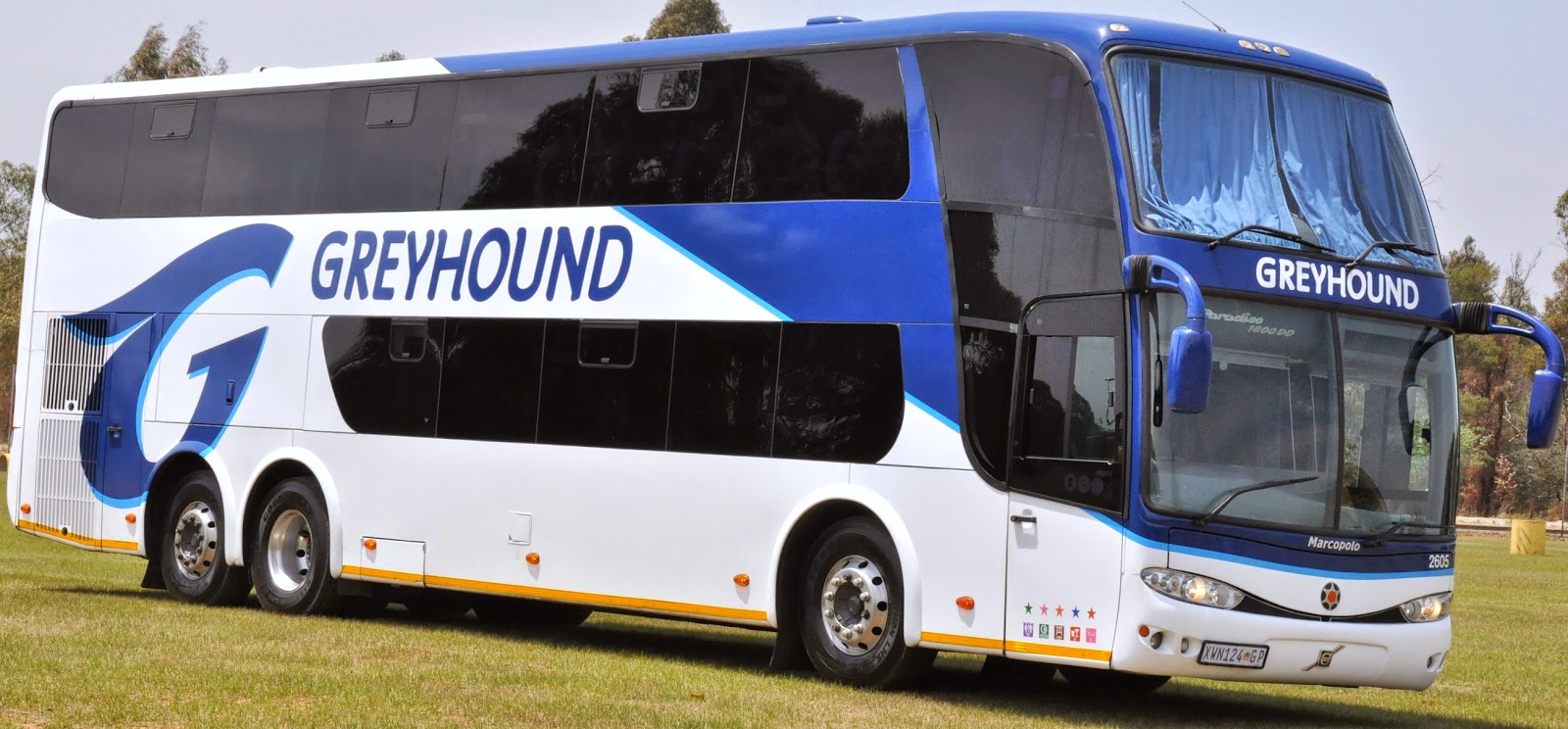 Greyhound